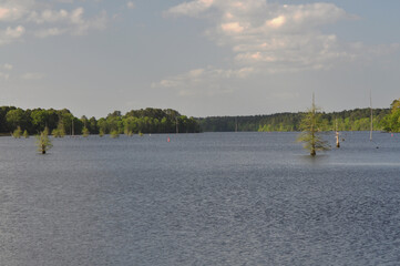 An Oasis Among The Water