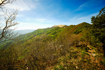 The path toward the top of Lesima Peak (Lombardy, Northern Italy); is a small mountain near the...
