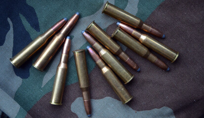 Ammunition 7,62x54 with camo background