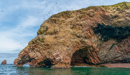 Naklejka premium Islands near Pisco, Peru are a haven for wild birds