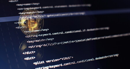 Software developer programming code. Abstract computer script code. Code text written and created...