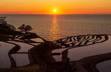 輪島市 白米千枚田の夕景