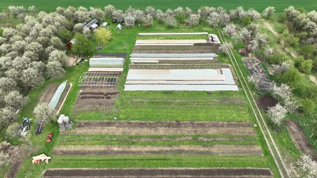 Garden bio farm farming agricultural garden farmer fruit tree drone aerial leaf kohlrabi spinach Spinacia Brassica oleracea gongylodes bio greenhouse folio agricultural farm garden harvest leaf