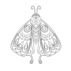 Vector black and white illustration of an insect with an ornament on the wings in lineart style