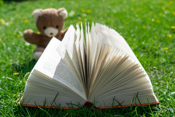 Open book on green grass, little teddy bear in the background. Education kids concept. Fantasy or fairy tale book