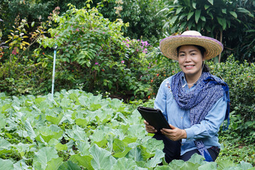 Happy female gardener is survey about growth and disease of vegetables in garden by using smart tablet. Concept : Agricultural research. Smart farmer. Using technology to manage crops.                