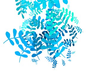 Obraz premium Light Green vector natural backdrop with leaves.