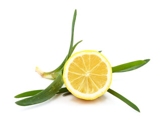 Green aloe plant with lemon.