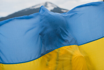 Ukrainian flag with face outline. Support Ukraine. For charity.