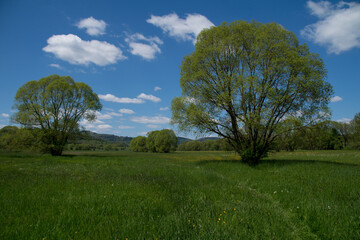Landscape view near the german village called Hallenberg
