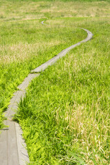 草原と伸びる道