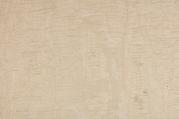 Alpi Erable veneer background in gentle light color as part of your unique design.