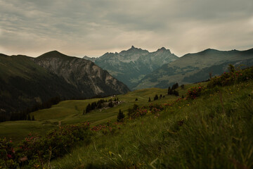 mountains in the morning