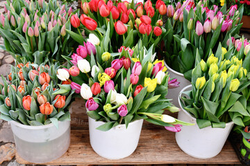 Colorful spring tulip flowers in buckets at market sale booth