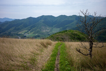 日本の岡山県真庭市の蒜山高原の美しい風景