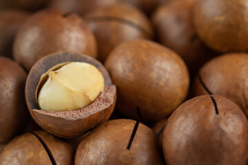 Close up of single peeled macadamia nut background. - obrazy, fototapety, plakaty