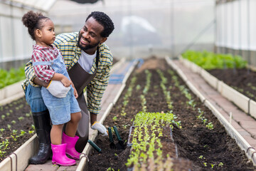 Man and Little girl with vegetable plants farming and gardening concept. Father and Daughter planting vegetable in home garden field use for people family