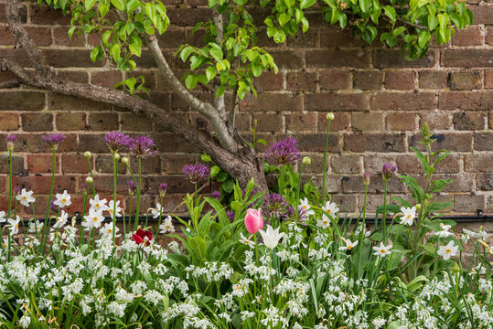 Beautiful Spring landscape image of typical English country garden scene vignette