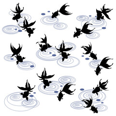 Goldfish and water crest material collection,