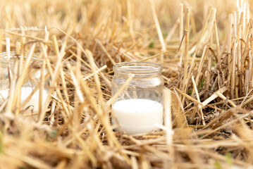 Glass jar with organic milk on a background of harvested wheat. Harvest.