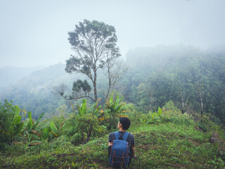 Naklejka premium Alone man hiking enjoyment the morning mist in lush tropical rainforest.
