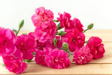 bunch of pink carnation flowers