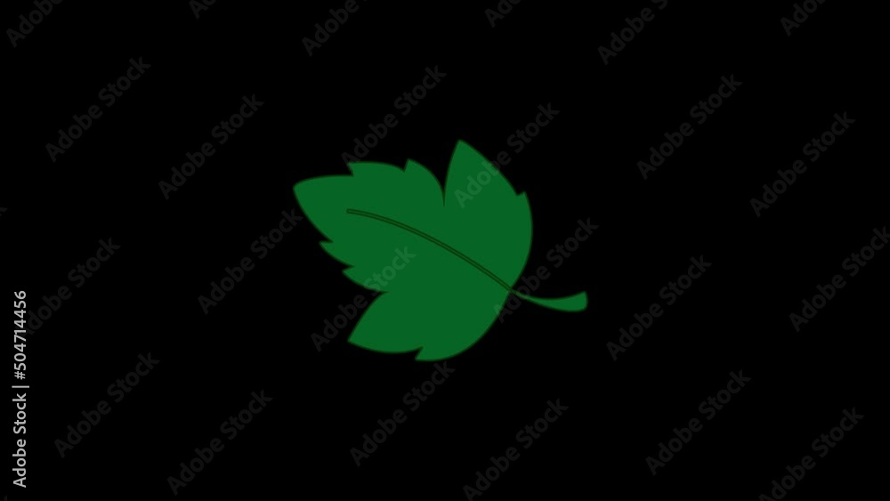 Poster color picture of leaf on a black background. green big leaf from a tree. distortion liquid style tra