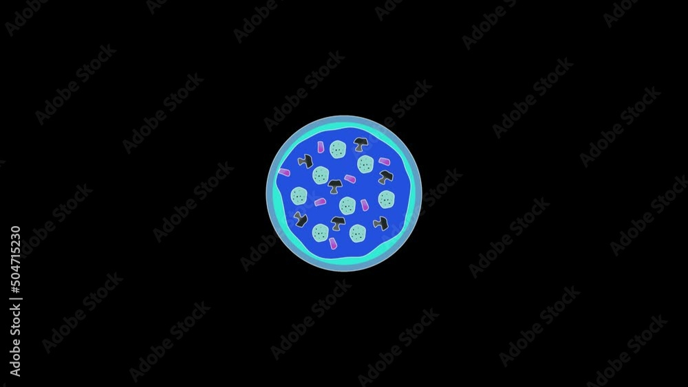 Poster Color picture of pizza on a black background. colored pizza. delicious fast food. Distortion liquid style transition icon for your project. 4K video animation for motion graphics and compositing.