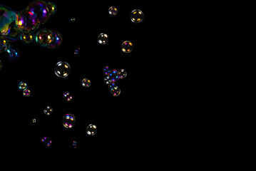 Soap bubbles isolated on a black background