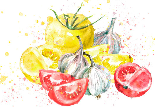 Watercolor red tomato and garlic, onion, a composition of vegetables. On white isolated background. A piece of red tomato,half, slice, whole, garlic. Watercolor card, label, napkin.