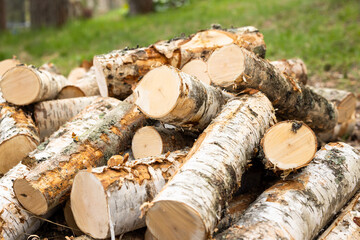 Finnish freshly sawed birch logs piled