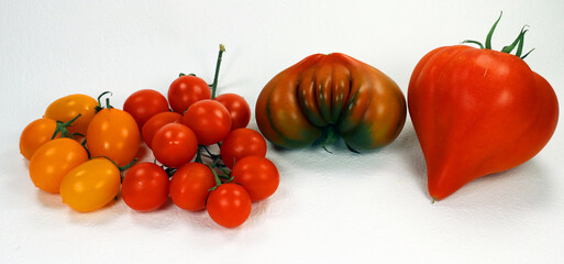Tomatoes of different varieties of colors and shapes isolated on white. Ripe tomatoes from Spain. Raf, yellow red cherry, pata negra.