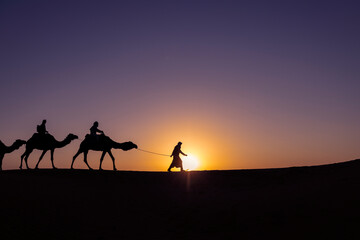 Caravana de dromedarios en el desierto durante la puesta de sol