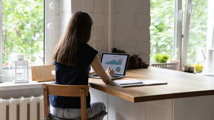 Young millennial freelance professional woman analyzing marketing reports on laptop display, working on analytics, processing financial statistic data, startup project infographics. Back view