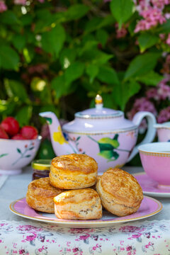 Freshly baked scones with tea served in the garden