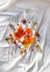 minerals and autumn maple leaf on fabric background. Wiccan mandala for fall season. witch magic...
