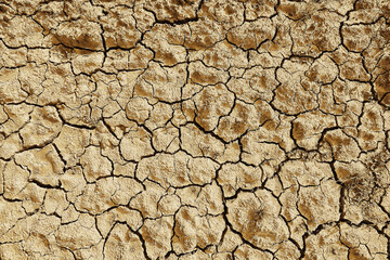 texture desert drought background abstract earth cracked warming global