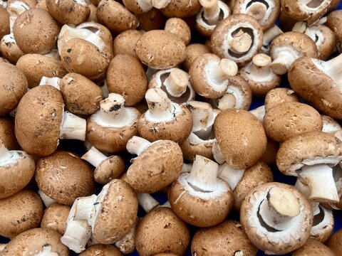 heap of mushrooms on farmers market, as a background