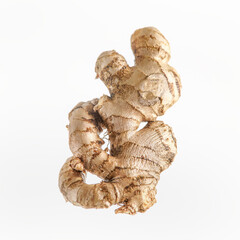Whole raw ginger root at white background. Front view.