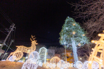 クリスマスツリーとトナカイのイルミネーション