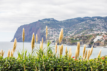 Madeira mountains island with ocean