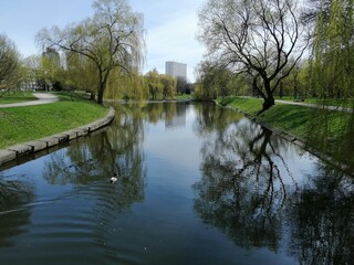 river in the park