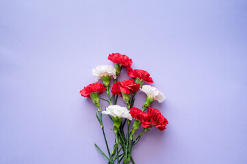 bouquet of red and white carnations