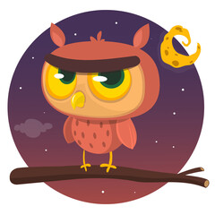 19_owl