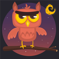 28_owl