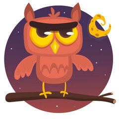 29_owl