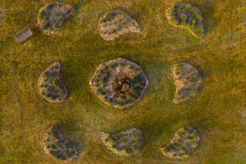 Drone top down view of decorative lavender gardens