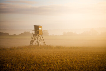 hunting tower at sunrise, which is photographed in the field near the village of Staré sedlo in...