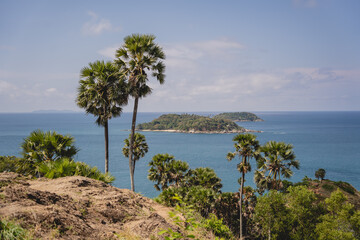 Beautiful mountains with palms landscape in the ocean