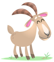 Vector illustration of cute goat character cartoon isolated